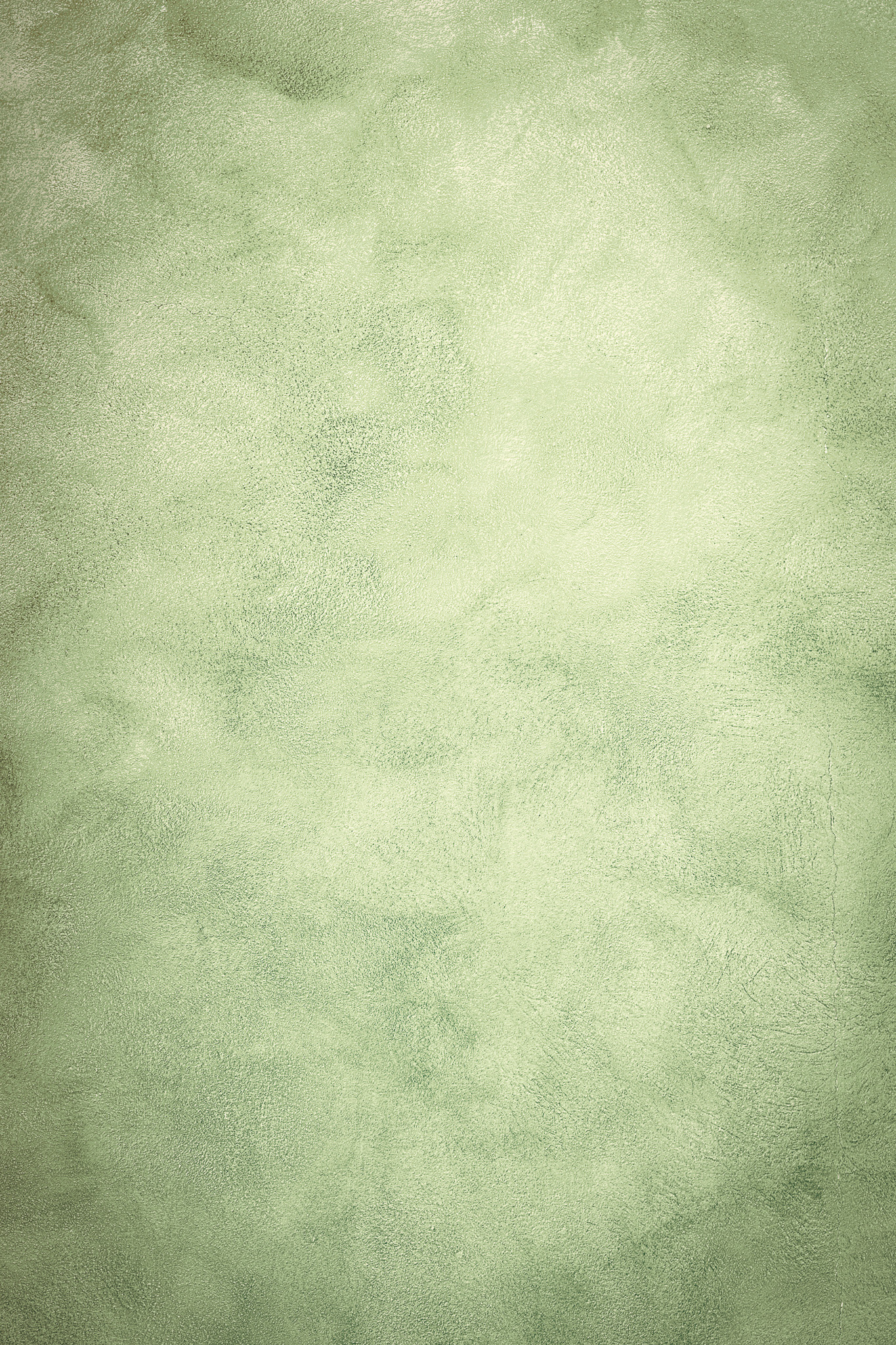 Tło Fotograficzne Eucalyptus Mist