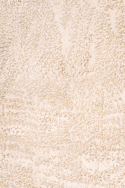 Tło Fotograficzne Ivory Plaster