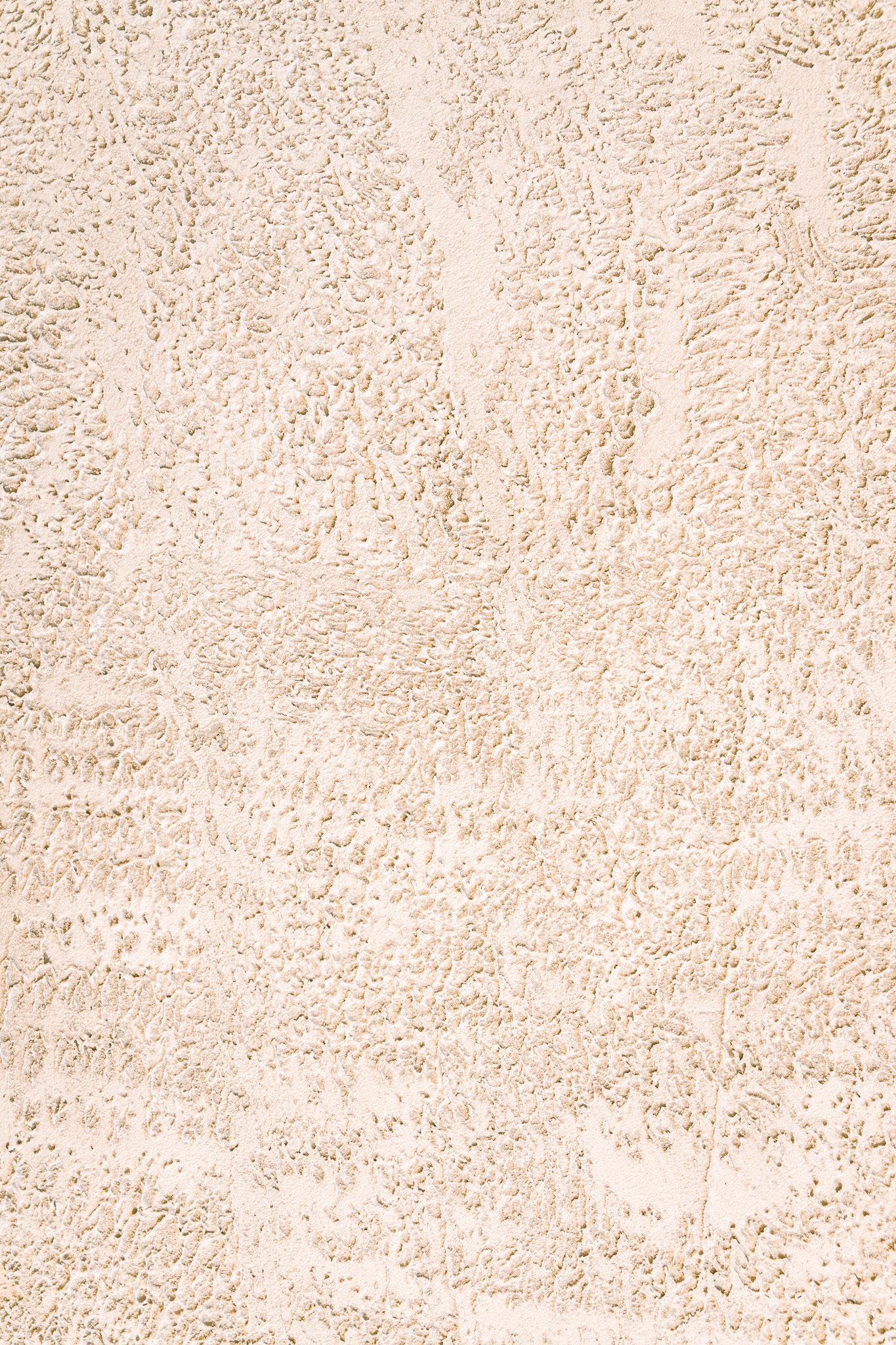 Tło Fotograficzne Ivory Plaster