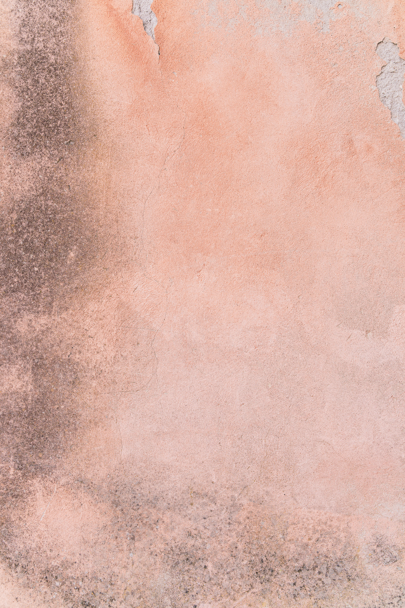 Tło Fotograficzne Soft Blush Wall