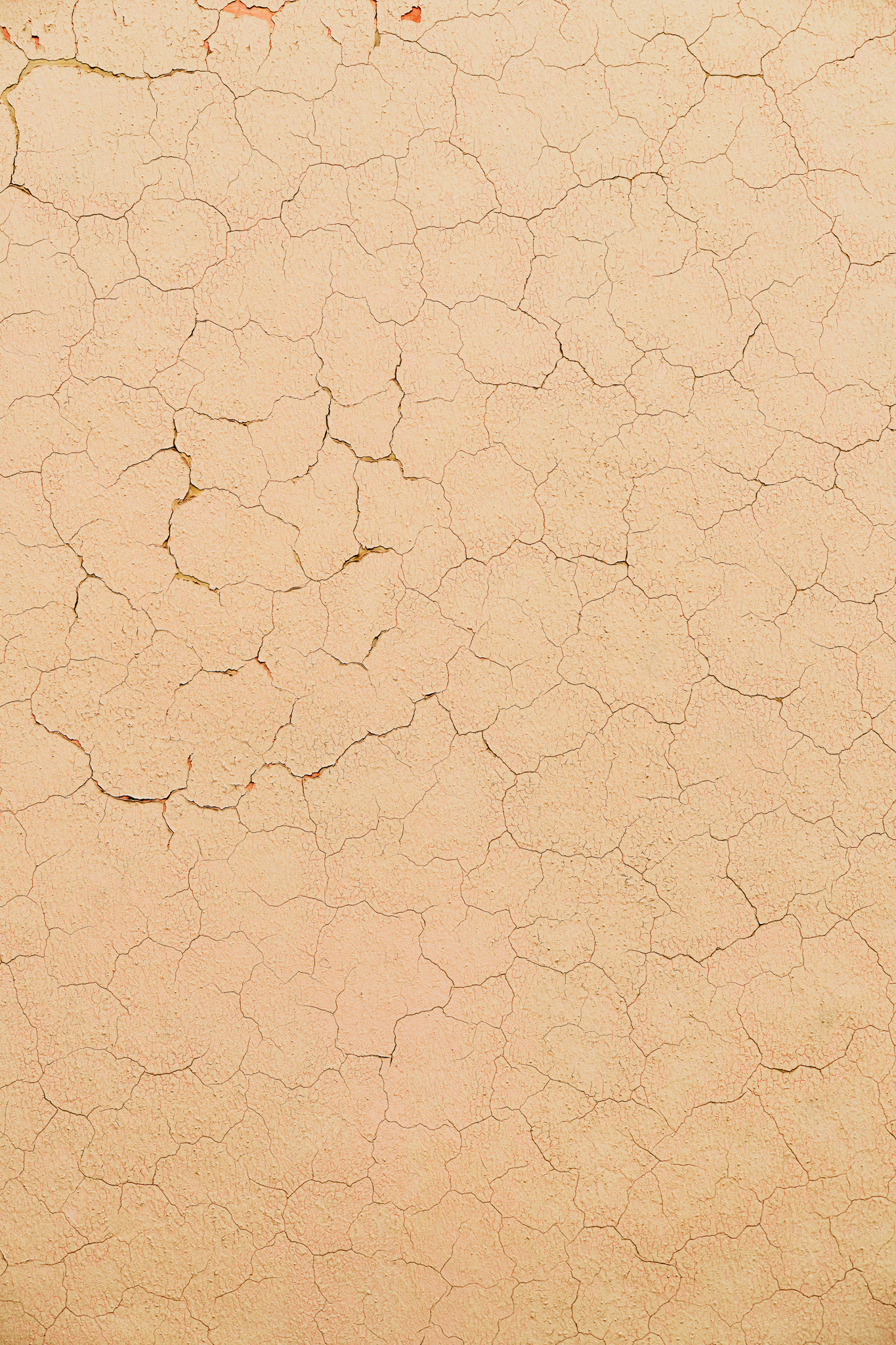 Tło Fotograficzne Sunbaked Plaster
