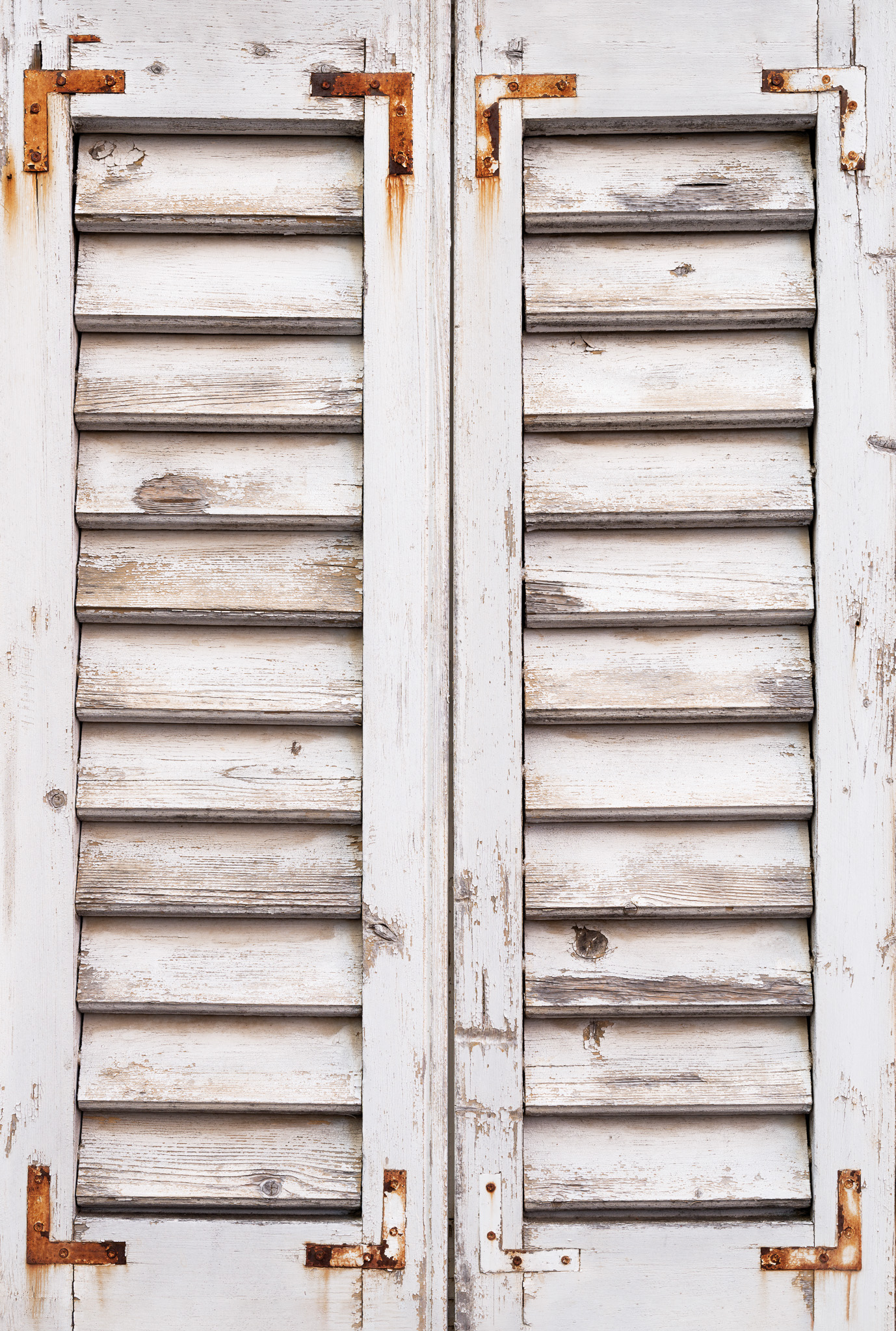 Tło Fotograficzne White Shutters