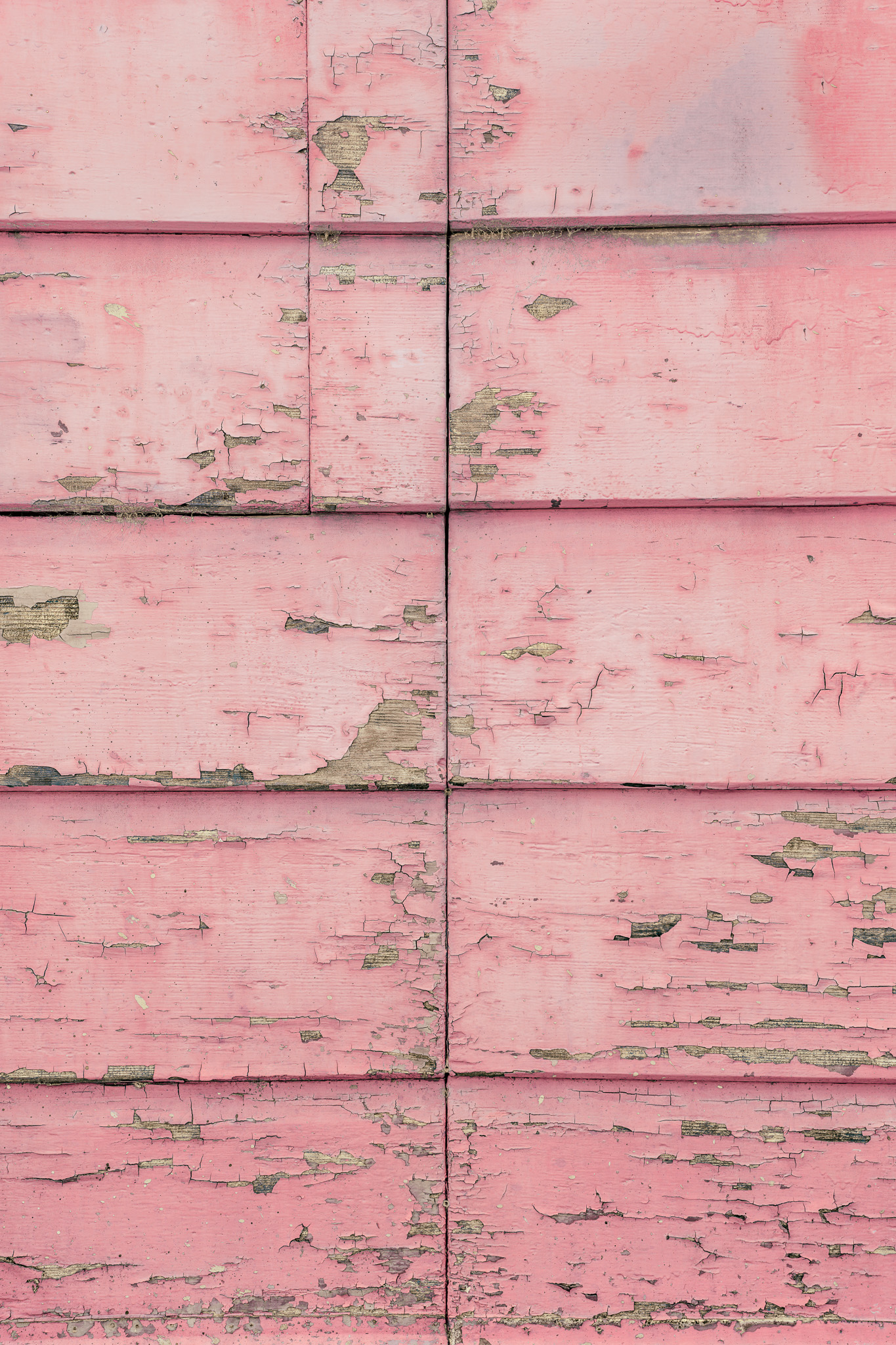 Tło Fotograficzne Pink Cottage