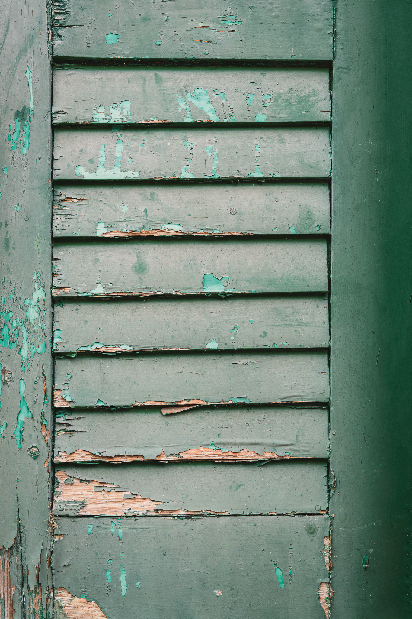 Tło Fotograficzne Seafoam Shutters
