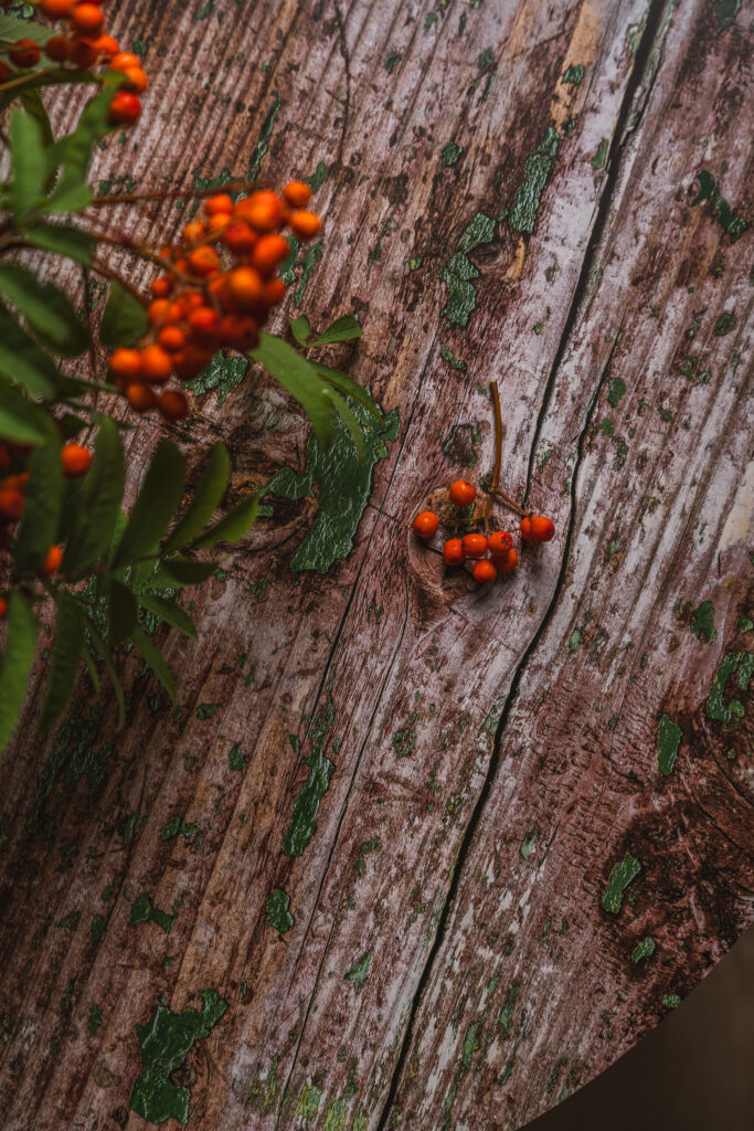 Tło Fotograficzne Moss Wood Table