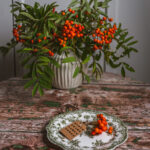 Tło Fotograficzne Moss Wood Table