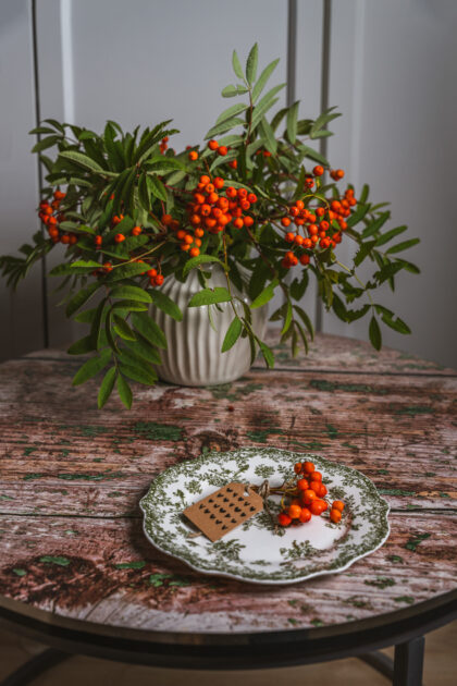 Tło Fotograficzne Moss Wood Table